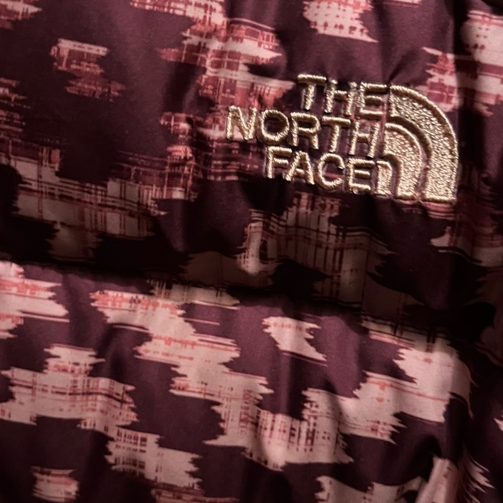 Pink Aztec Pattern North Face Jacket - image 5
